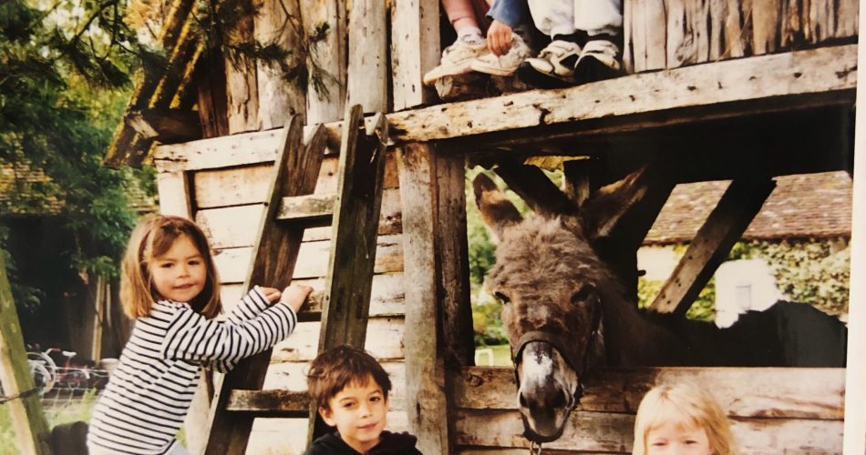 Processed with VSCO with m5 preset Processed with VSCO with m5 preset