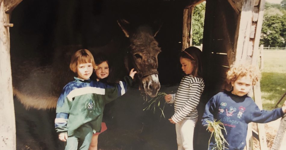 Processed with VSCO with m5 preset Processed with VSCO with m5 preset