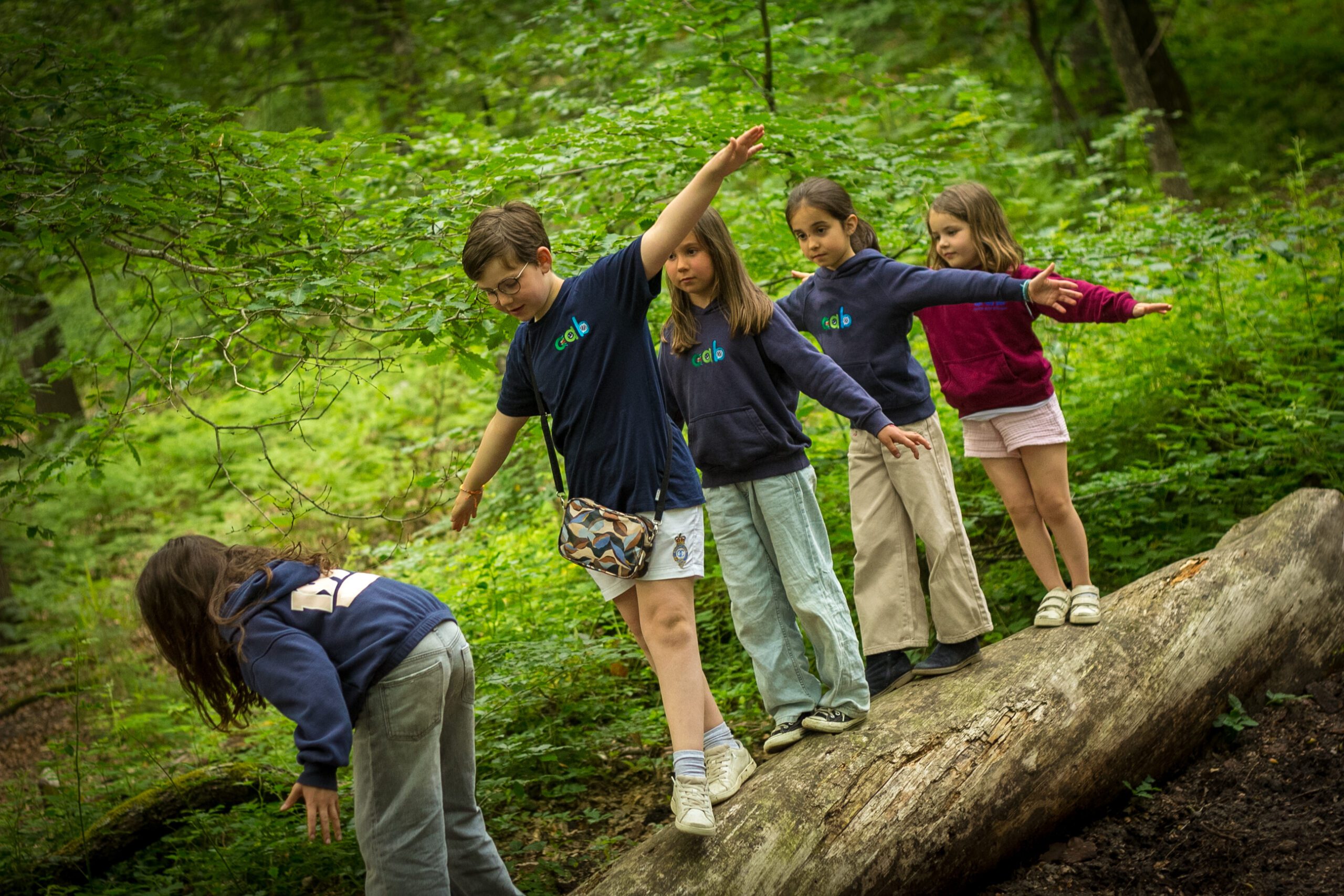 Enfants en forêt en équilibre sur un tronc